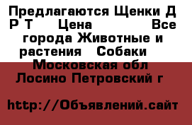 Предлагаются Щенки Д.Р.Т.  › Цена ­ 15 000 - Все города Животные и растения » Собаки   . Московская обл.,Лосино-Петровский г.